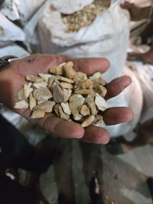 Flood Water Affected Stock of Crushed Bones